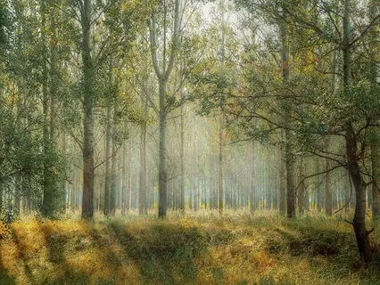 5 Minutes Of Stillness