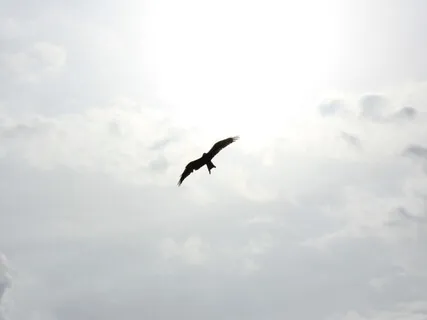 5 Minutes Of Mindfulness 