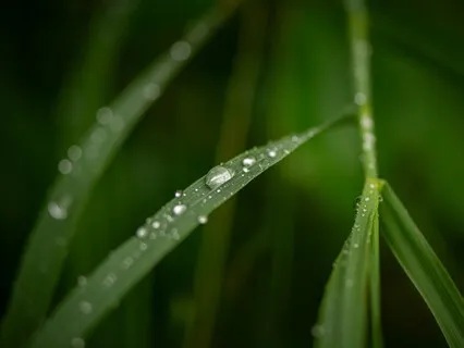 5 Minutes Life Purpose Realignment