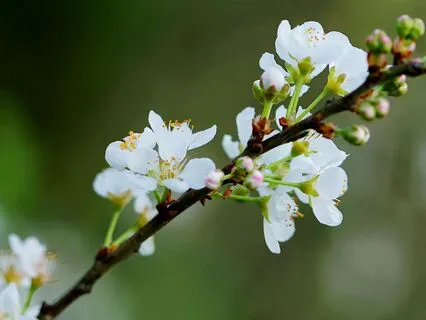 5 Minutes To Awaken Your Mind And Body