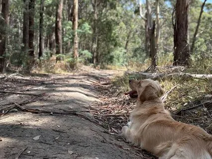 5 Minute Meditation To Slow Down