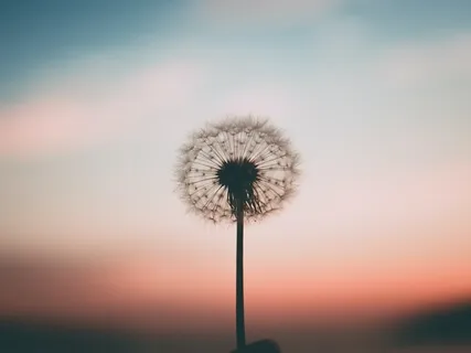 5 Minutes To Connect To The Breath