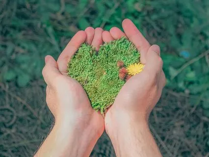 5 Minutes To Connect With Nature