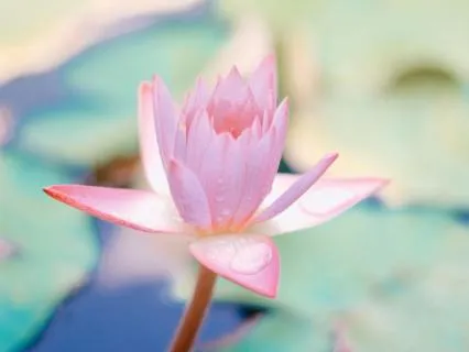 5 Minutes To Peace: Escape To Serenity