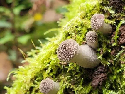 5 Minutes To Reconnect With Your Inner Knowing