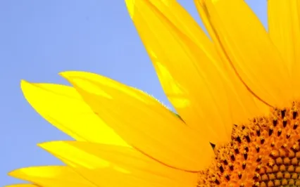 5 Minutes To Relax And Recharge