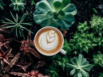 5-Минутная Медитация, Которую Можно Делать Где Угодно