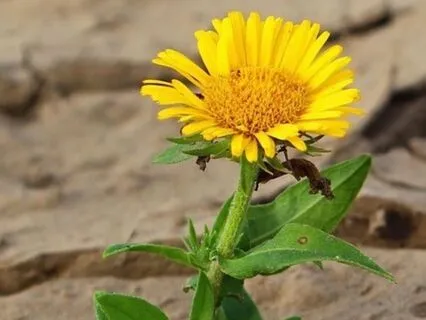 5 Quick Fixes To Help With Your Perfectionism