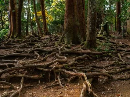 5 Reiki Precepts In Japanese: Chant With A Reiki Master