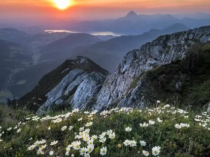 5 Self-Havening Practice To Release Stress