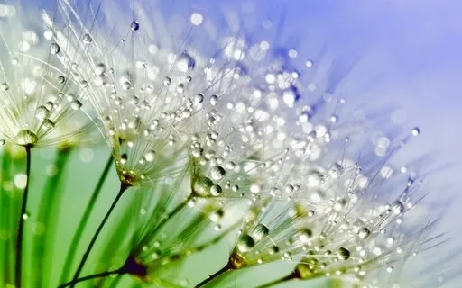 5 Senses Awareness Practice For Presence