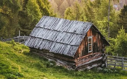 5 Senses For The Present Moment