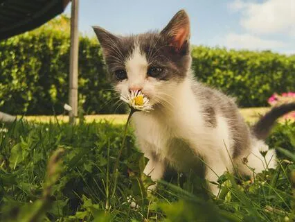 5 Senses Grounding Meditation