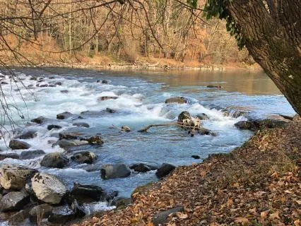 5 Senses Mindfulness: A Gentle Practice To Feel Present