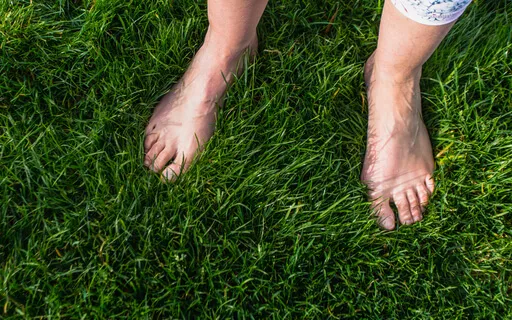 5 Senses Mindfulness