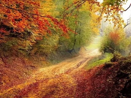 5 Senses Walking Meditation