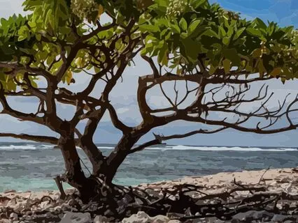 5 Steps To Handle Life’s Challenges