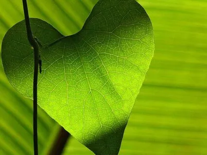 5 Steps To Healing Emotional Overload From Religious Trauma