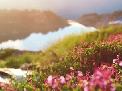 5 Ways To Spark Inspiration