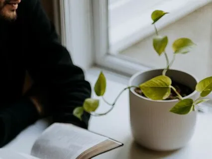 50:50 Attention When Relating To Others