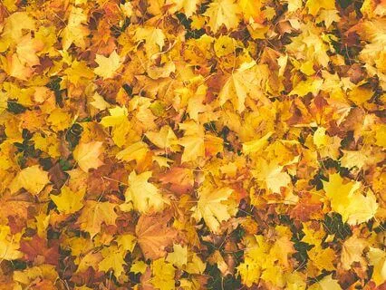 50 Evening Wind Down Affirmations For Autumn Souls