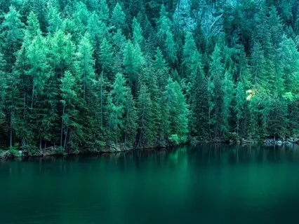 50 Minute Progressive Muscle Relaxation 