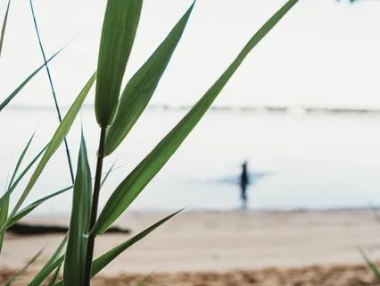 50-Minute Yoga Nidra For Opening To The Possibilities