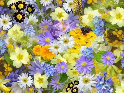 50 Present-Tense Affirmations For Radiant Daily Health