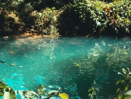 528 Hz Home Source Of Love Frequency