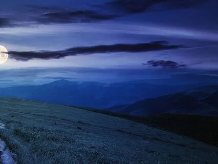 528 Hz + 777 Hz + 888 Hz Tuning Forks For Abundance (Delta)