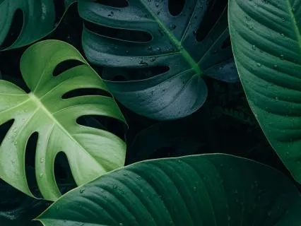 528 Hz Anxiety Relief - Deep Sleep Music