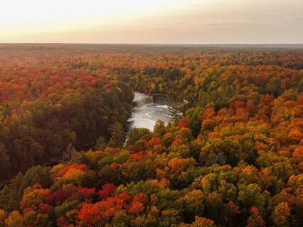 528 Hz Autumn Calm, Ground & Restore Mind & Body