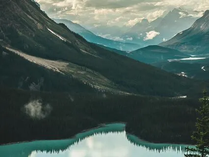 528 Hz Calm The Mind & Remove All Worries