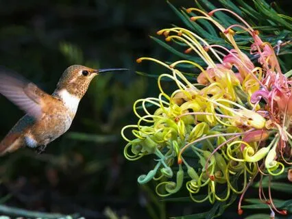 528 Hz | Circadian Rhythms - Deep Voyage Reiki Massage Music