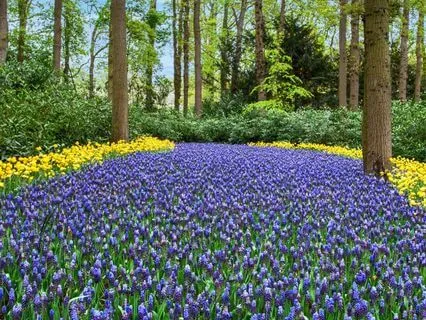 528 Hz DNA Repair: Miracle Tone for Cellular Healing