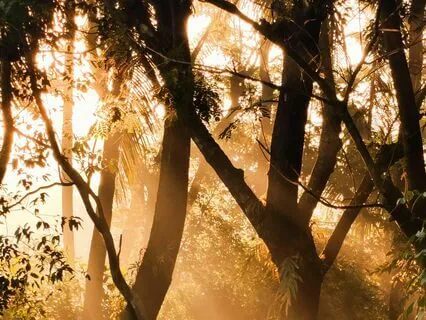 528 Hz Energy: DNA Repair And Soul Healing