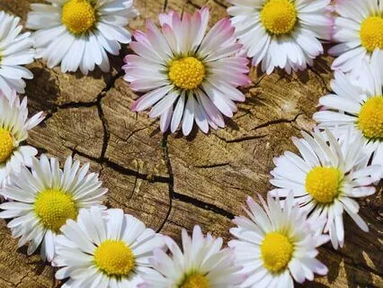 528 Hz Guided Sound Bath Meditation For Love Frequency