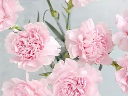 528 Hz Healing Affirmations: Love & Self-Worth