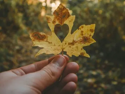 528 Hz Magical Frequencies For Attracting Love