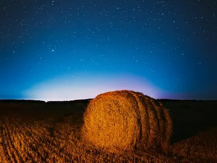 528 Hz - Nocturnal Whisperings