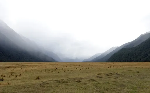 528 Hz | Pure Focus Music | Cleanse, Balance & Awaken