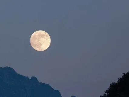 528 Hz Sleep Music 8-Hour Version