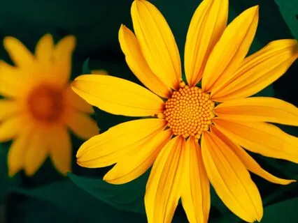 528 Hz Solfeggio Tuning Fork (Long Version)