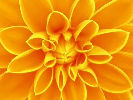 528 Hz Solfeggio Tuning Fork (Short Version)