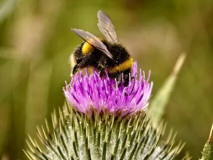 528 Hz | Soul Retrieval - Deep Voyage Reiki & Massage Music