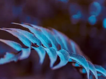 528 Hz Sound Journey – The Frequency Of Love (2-Hour Loop)