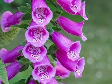 528 Hz: The Frequency Of Love And Transformation