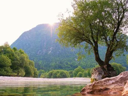 528 Hz Tuning Fork + 777 + 888 Hz For Abundance (Lambda)