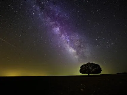 528 Hz Tuning Fork DNA Repair: Affirmations + Delta Waves