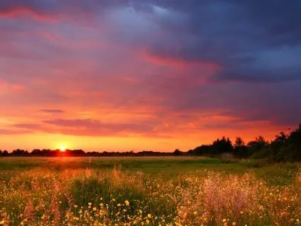 528 Hz Tuning Fork Healing Frequency